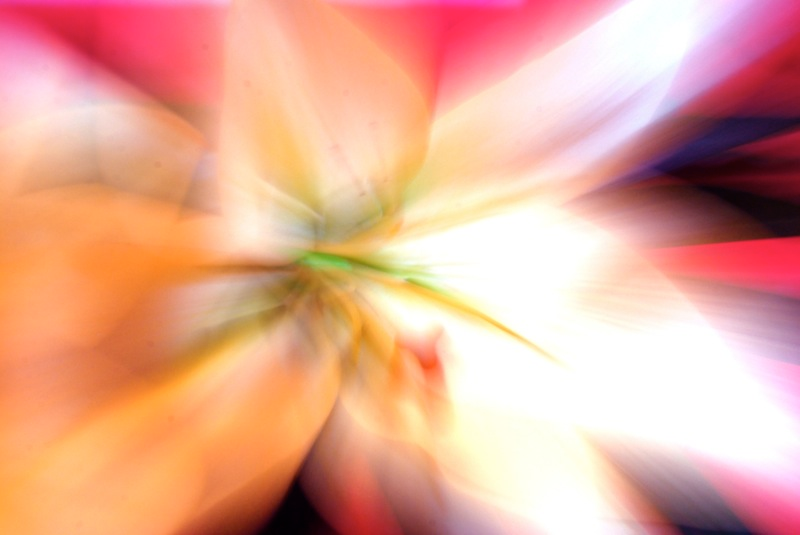 Illustration for article titled Zoom Photo Challenge Gallery 1